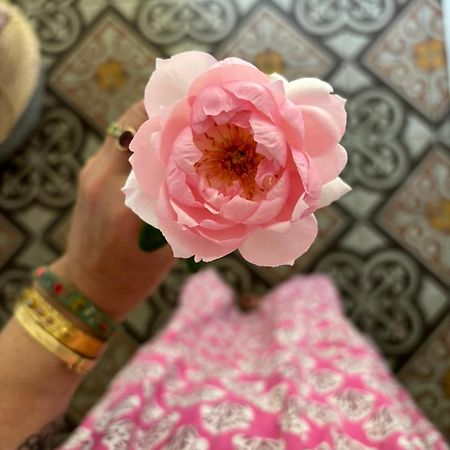 Le Logis Blanc Bed&Breakfast Coursan Bagian luar foto
