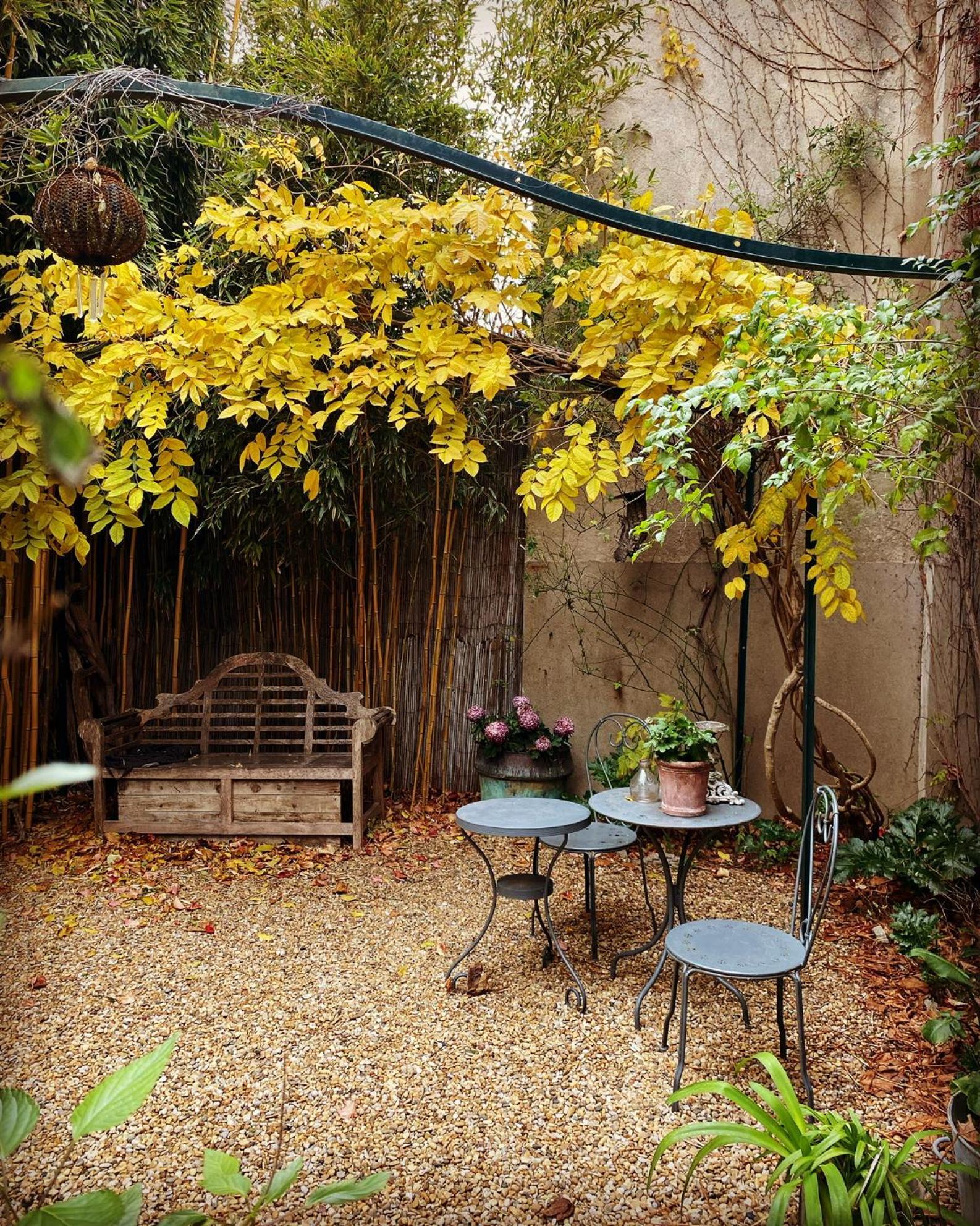 Le Logis Blanc Bed&Breakfast Coursan Bagian luar foto