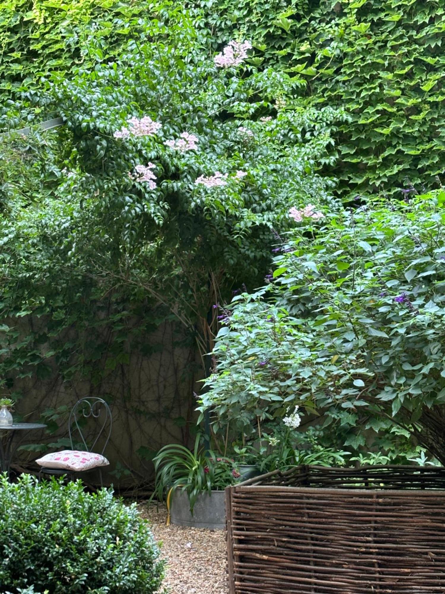 Le Logis Blanc Bed&Breakfast Coursan Bagian luar foto