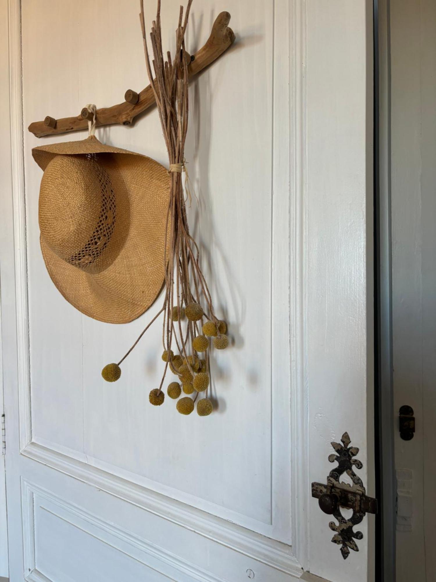 Le Logis Blanc Bed&Breakfast Coursan Bagian luar foto