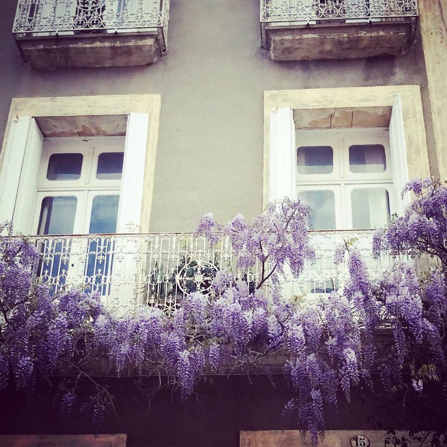 Le Logis Blanc Bed&Breakfast Coursan Bagian luar foto