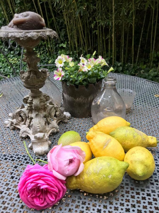 Le Logis Blanc Bed&Breakfast Coursan Bagian luar foto